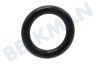 Nilfisk Hochdruck O-Ring
