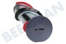 Dyson Staubsauger 970135-01 Dyson Drehmomentbürste