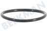 Karcher Hochdruck 6.363-536.0 O-Ring 21 x 1,5 mm