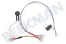LG Staubsauger EAD60810508 Kabelbaum Vom Antrieb Roboter-Staubsauger