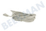 Easyfiks UTP CAT6 Netzwerkkabel grau 5m, 2x RJ45 Male