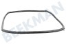 Aeg electrolux Ofen-Mikrowelle 3873369007 Türdichtung, rundum