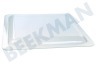 AEG Ofen-Mikrowelle Glasplatte Schale, Glasplatte