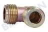 Blanco Kochplatte 3540029034 Gasanschluss