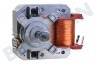 Zanussi Ofen-Mikrowelle 3890813045 Mikro Motor, Heißluft