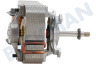 Zanussi Ofen-Mikrowelle Motor vom Ventilator, Heißluft
