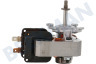 Zanussi Ofen-Mikrowelle Motor vom Ventilator, Heißluft