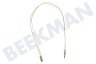 Zanussi Herd Thermoelement 500 mm 2 Adern