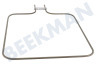 Ikea Ofen-Mikrowelle Heizelement Element, unten 1000 Watt