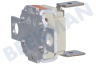 Husqvarna electrolux Ofen-Mikrowelle Thermostat Sicherheitsthermostat