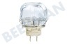 Zanussi-electrolux Ofen-Mikrowelle Lampe Backofenlampe komplett