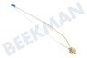 Ikea Herd Thermoelement Doppelt