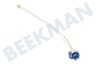 Ikea Herd Thermoelement Doppelt