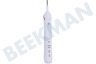 OralB Body Handstück