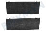 Gaggenau Abzugshaube Kohlenstofffilter