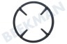 Gaggenau Kochplatte 17005938 Ring Wokring