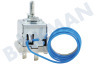 Pitsos Ofen-Mikrowelle 12041790 Thermostat Stift-Fühler