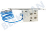 Pitsos Ofen-Mikrowelle 12041790 Thermostat Stift-Fühler