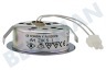 Küppersbusch Abzugshaube 00175069 Lampe Spot 20 Watt Halogen komplett
