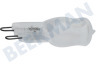 Neff Ofen-Mikrowelle 607291, 00607291 Lampe Halogen(steck)lampe 25W