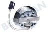 Neff Abzugshaube Lampe Leuchte, komplett