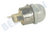 Balay Ofen-Mikrowelle Lampe komplett