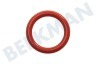 DeLonghi Kaffeemaschine Dichtungsgummi O-Ring von Röhrchen