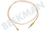 Siera Herd Thermoelement 1100 mm