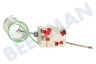 Siera Herd Thermostat Fühler (Stift) 2 Kontakte