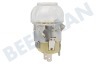 Mora Ofen-Mikrowelle Lampe Backofenlampe, 25 Watt, G9
