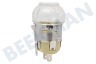 Mora Ofen-Mikrowelle Lampe Backofenlampe, 25 Watt, G9