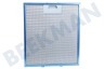 Elica Abzugshaube Filter Metall in Halter 305x267