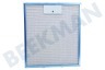 Elica Abzugshaube Filter Metall in Halter 305x267