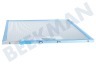 Elica Abzugshaube Filter Metall in Halter 305x267