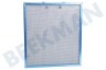 Whirlpool Abzugshaube Filter Metall 305x266x22mm