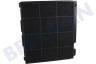 Cooke&lewis Abzugshaube Filter Carbon 225x210x30mm