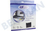 Cooke&lewis Abzugshaube Filter Carbon 225x210x30mm