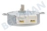 Atag-pelgrim Ofen-Mikrowelle Motor von Drehteller 4W