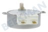 Whirlpool Ofen-Mikrowelle Motor von Drehteller -4W-