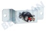 Laden Ofen-Mikrowelle Thermostat 155 Grad. In Halter.