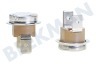 Saeco Kaffeemaschine Thermostat Schutz auf Element