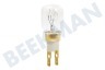 Fagor Kühlschrank LRT139 Lampe für Kühlschrank 15W TC