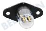 Whirlpool Ofen Lampe für Mikrowelle, LED 240V 2W