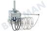 Pelgrim Ofen-Mikrowelle Thermostat Stift-Sensor, 299 Grad C
