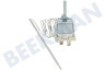 Pelgrim Ofen-Mikrowelle Thermostat Stift-Sensor, 299 Grad C