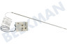 Pelgrim Ofen-Mikrowelle Thermostat Stift-Sensor, 299 Grad C