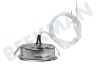 Pelgrim Abzugshaube Lampe Spot 20 Watt Halogen