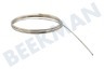 Rowenta Kaffeemaschine MS-5A01399 Reinigunsnadel