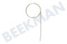 Rowenta Kaffeemaschine MS-5A01399 Reinigunsnadel