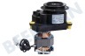 Tefal Kaffeemaschine SS8030002362 Kaffeemahlwerk